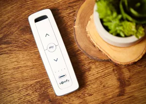Wooden table with a white slimline remote control with simple up and down arrow buttons above and below a round button, small succulent in a white pot on two wood discs.