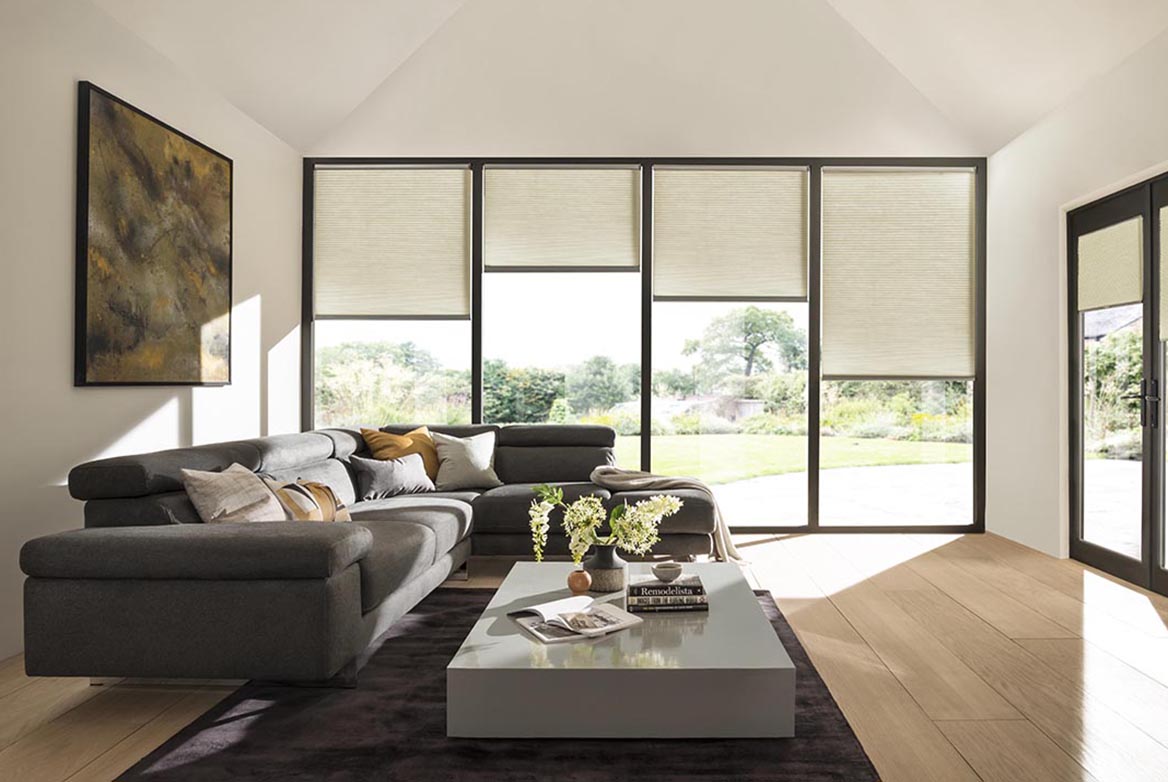 Ts 2021 Duette Blinds Roomset Duotone Wheatgrass 1168X782