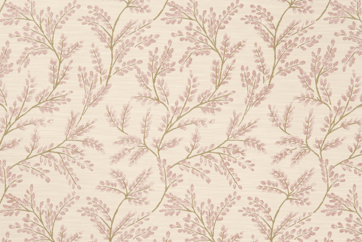 KALMIA BLUSH FLAT 1168X782