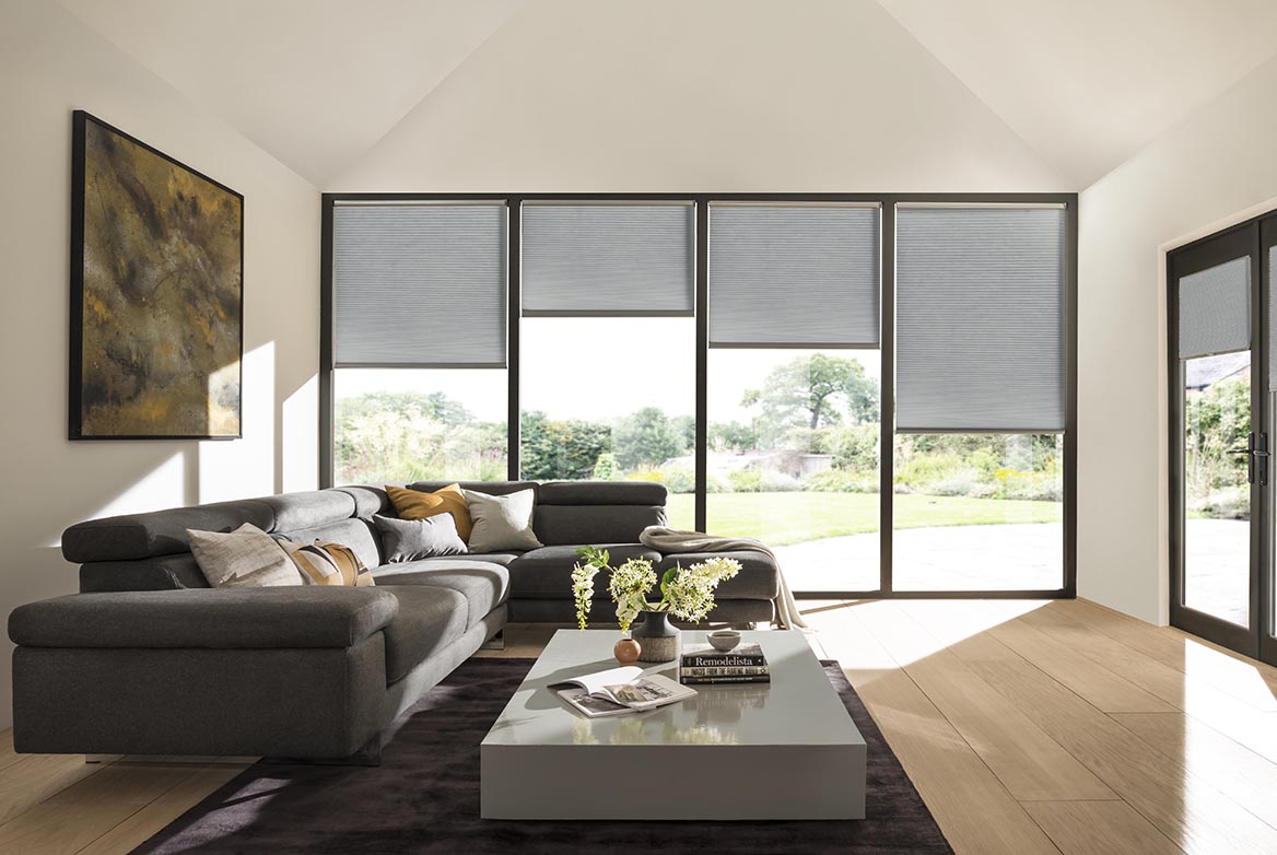 Ts 2021 Duette Blinds Roomset Silk Dolphin 1168X782