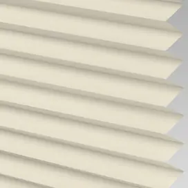 Cotton