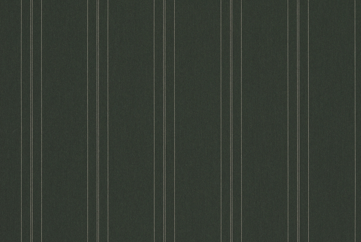 TS OUTDOOR SWATCH FINE STRIPE FOREST GREEN 1168X782