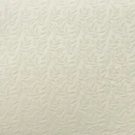 Frost