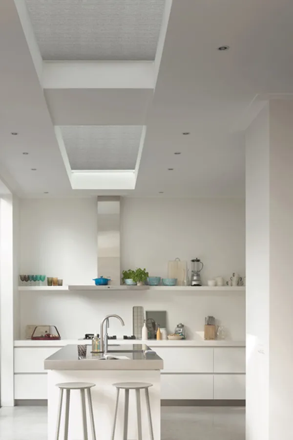 TS 2022 DOLPHIN DUETTE ROOF LANTERN02