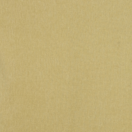 Maize