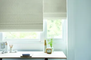 TS 2023 ROMAN LAUNCH ROMAN BLIND ZINNIA NATURAL HILLS