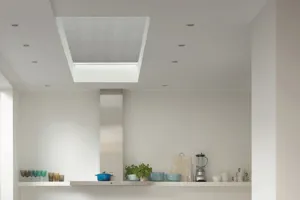 TS 2022 DOLPHIN DUETTE ROOF LANTERN02
