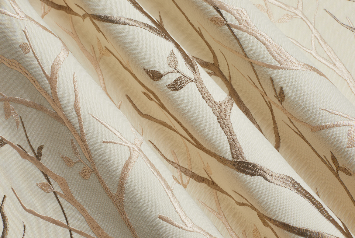 ASTILBE CREAM FOLD TS 23 1168X782