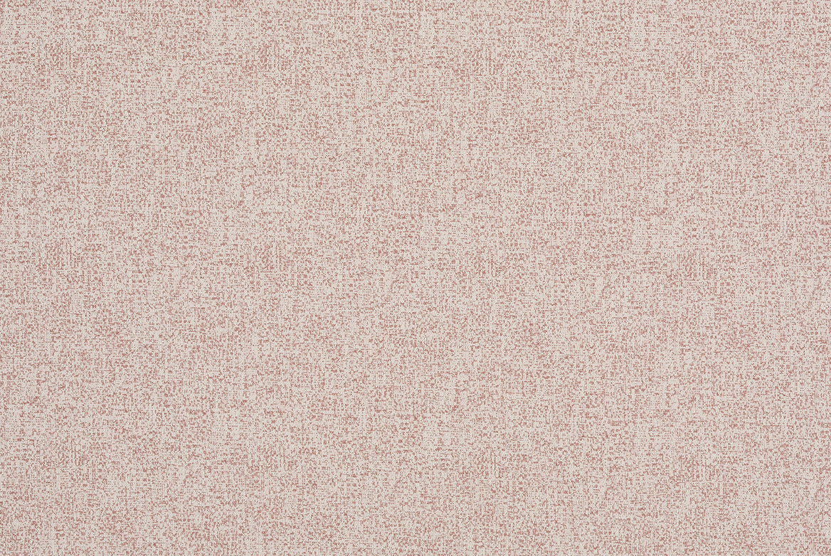 SHASTA LOTUS FLAT 1168X782