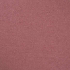 Raspberry