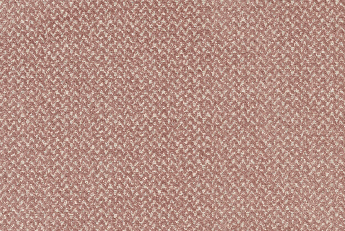 CELOSIA ROSE BLUSH FLAT 1168X782