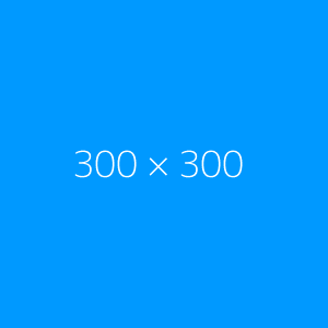 300X300