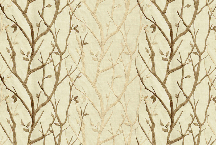 ASTILBE CREAM FLAT 1168X782