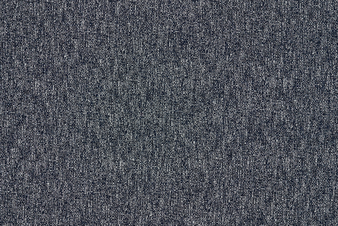 SHASTA NAVY FLAT 1168X782