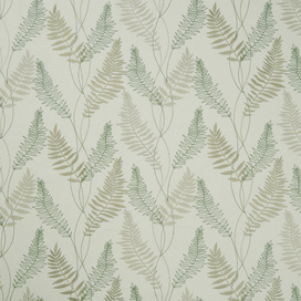Fern Green