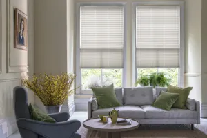 Living room in neutral tones with two adjacent windows dressed in pale yellow-gold pleated blinds lowered midway, pale grey couch with green cushions in front of window, low round table with yellow teapot and cups, yellow gorse in corner under woman's portrait.
