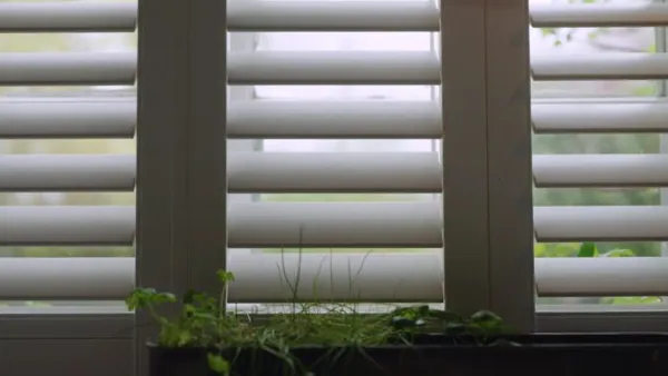 Shutters Thumbnail 1