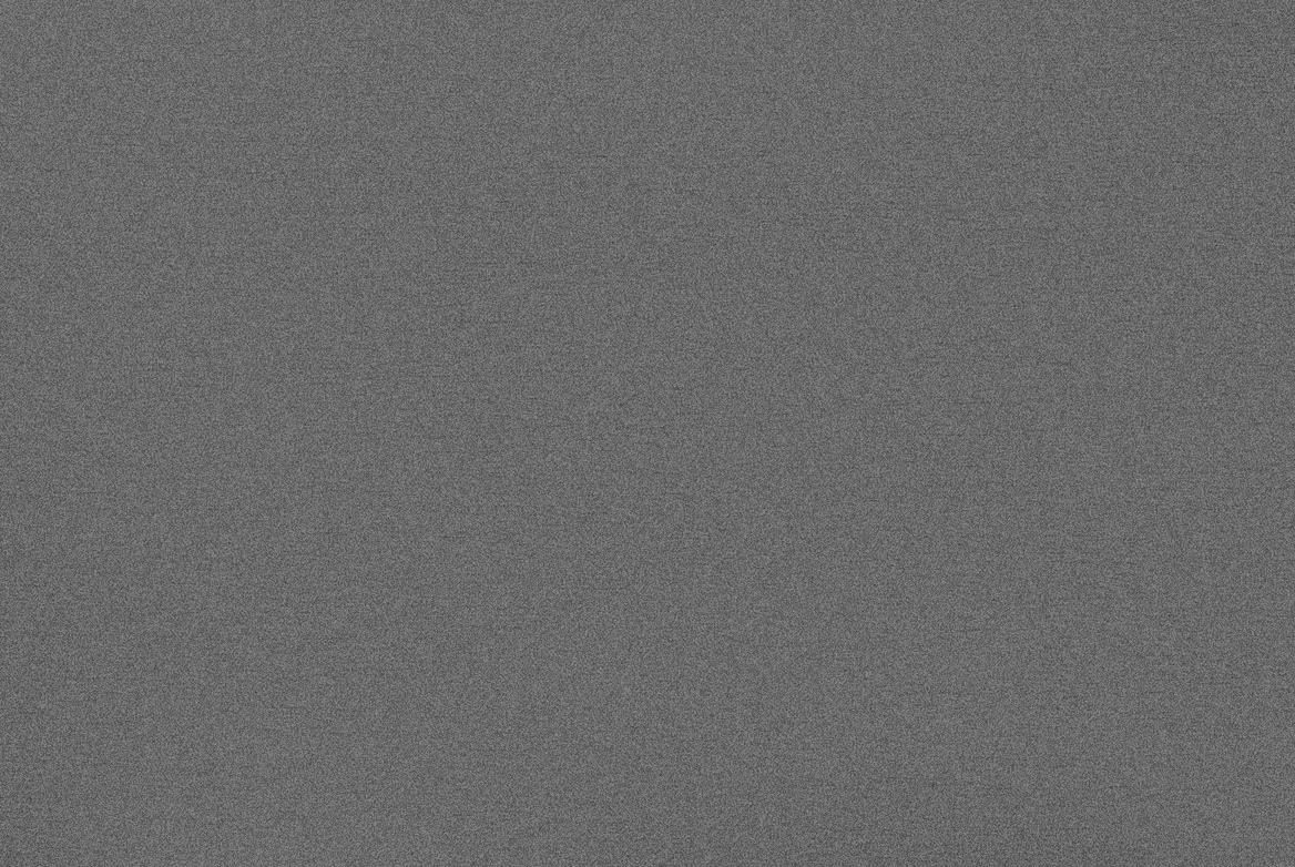 TS GARAGE DOOR SWATCH GREY METALLIC 1168X782