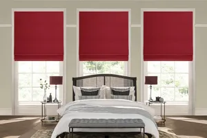 Ts 2022 Roman Blinds Roomset Fagel Red