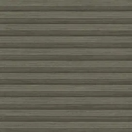 Hickory Ash